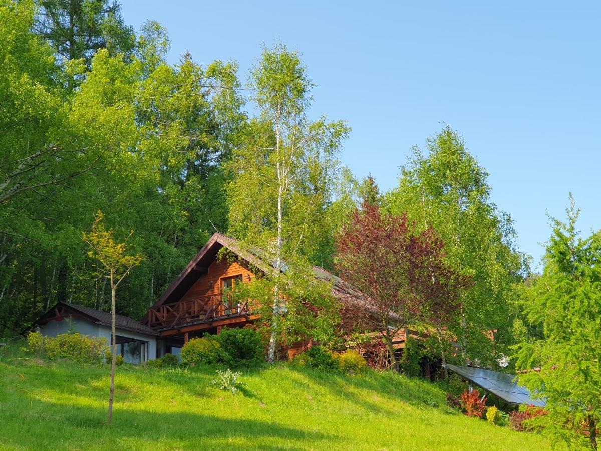 Apartamento Ksiezycowa Dolina Lądek-Zdrój Exterior foto